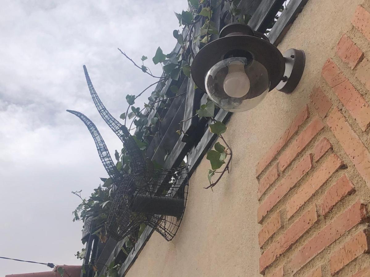 Casa Rural Atelier - Jardin Y Terraza Velliza Eksteriør billede