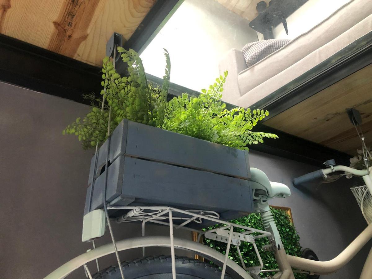 Casa Rural Atelier - Jardin Y Terraza Velliza Eksteriør billede