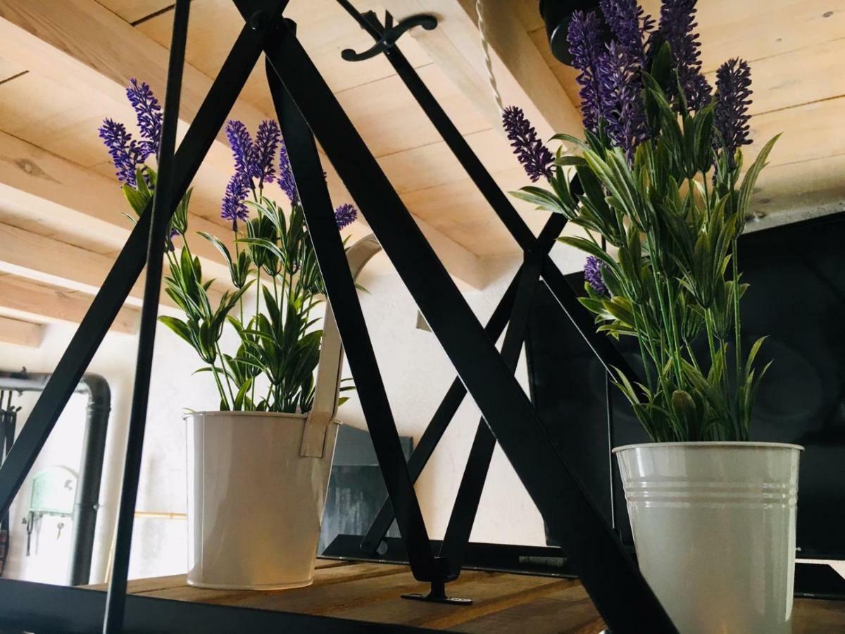Casa Rural Atelier - Jardin Y Terraza Velliza Eksteriør billede